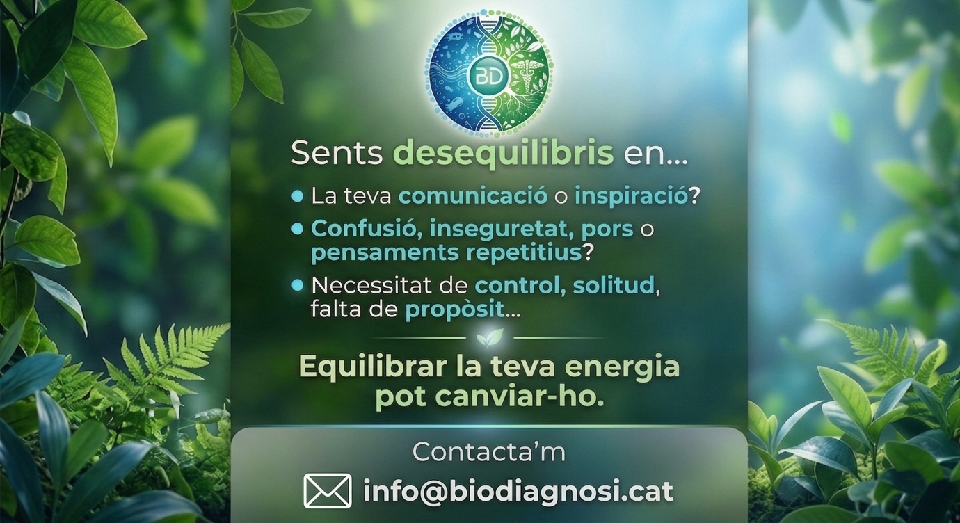 Biodiagnosi: desxifrant la vida amb precisió per al teu benestar. Sessions d’equilibri energètic i teràpies a Vic i Osona